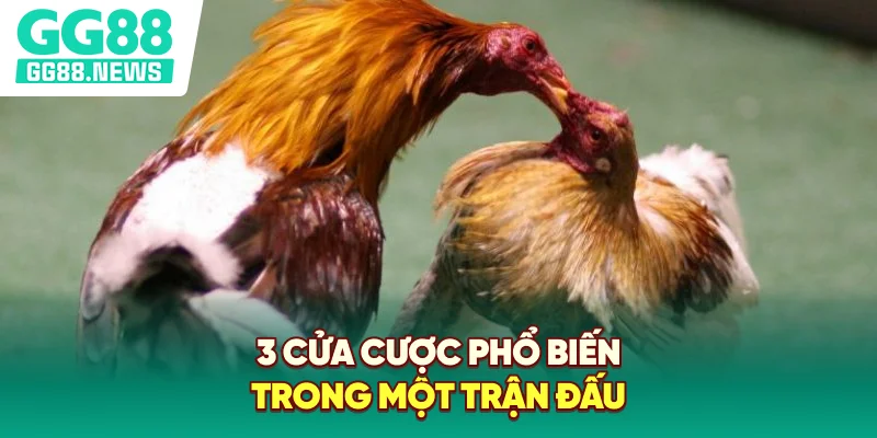 3 cửa cược phổ biến trong một trận đấu 3 cửa cược phổ biến trong một trận đấu
