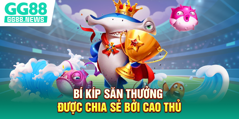 Bí kíp săn thưởng được chia sẻ bởi cao thủ Bí kíp săn thưởng được chia sẻ bởi cao thủ