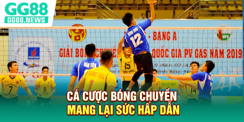 Cá cược bóng chuyền mang lại sức hấp dẫn Cá cược bóng chuyền mang lại sức hấp dẫn