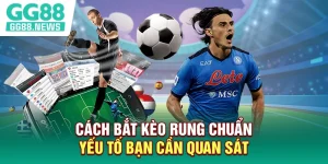 Cách Bắt Kèo Rung Chuẩn - Yếu Tố Bạn Cần Quan Sát