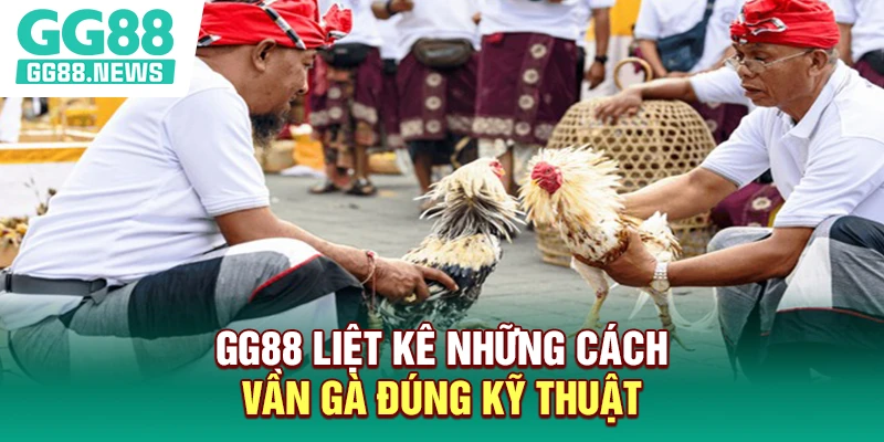 GG88 liệt kê những cách vần gà đúng kỹ thuật